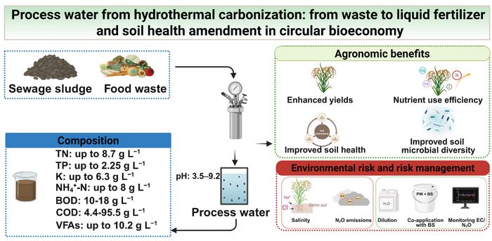Process water from hydrothermal carbonization: from waste to liquid fertilizer and soil health amendment in circular bioeconomy