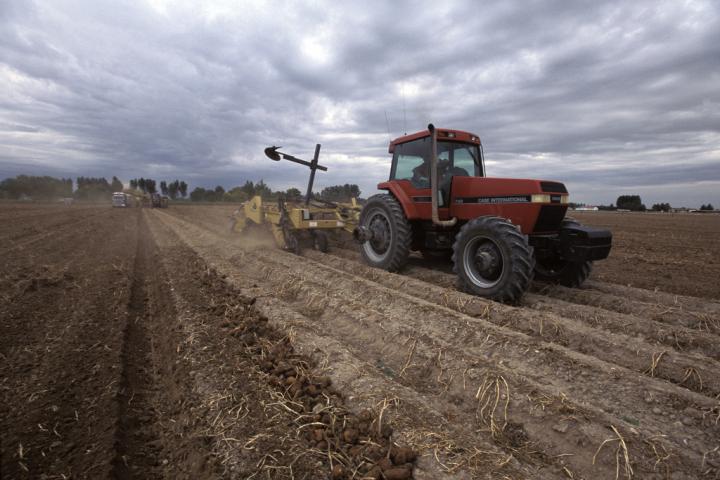 Harvesting