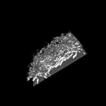 Nanotubes Scaffold 3-D Animation