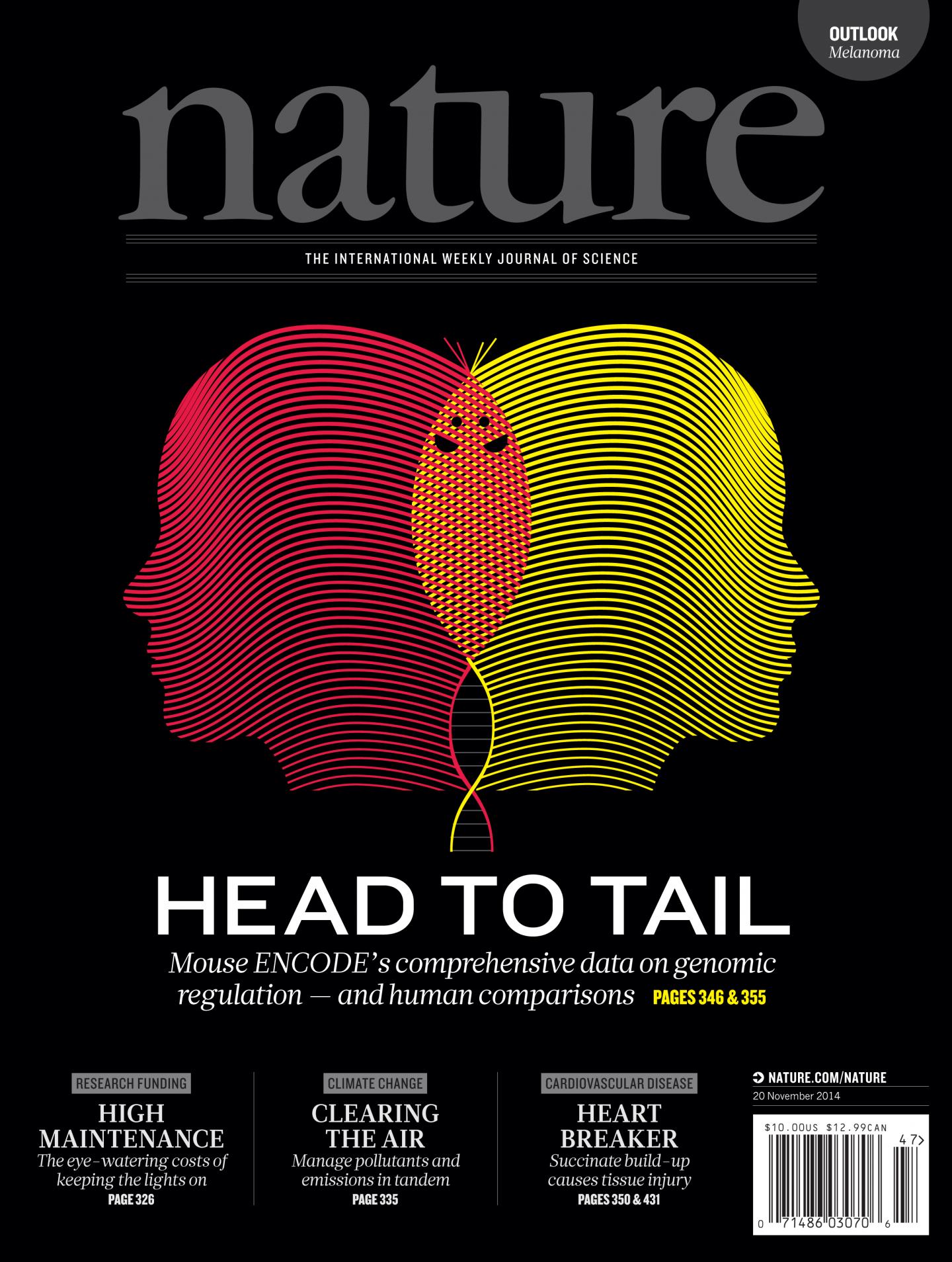 Illustration of the Mouse ENCODE Project