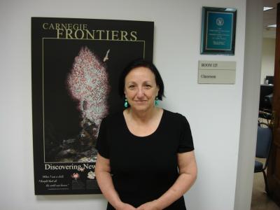 Toby Horn,   	 Carnegie Institution