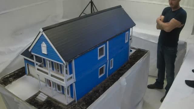 Tiny Termite House Video Footage