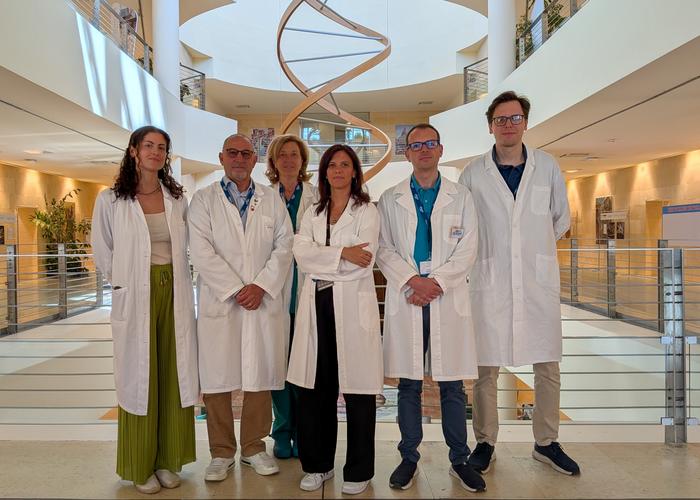 The main authors of the paper