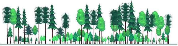 Visual impression of the structure involved in the selection system.