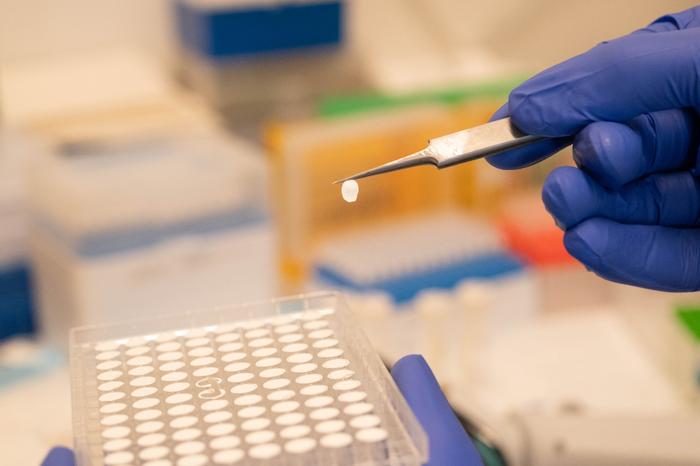 Transport assay