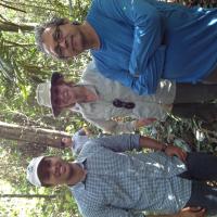 Franco Wall Sobral