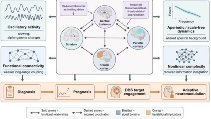 Brain Electrical Signaling Activity Measures