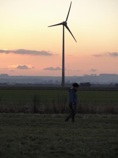 Wind Farm