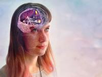 Computer Models of the Brain