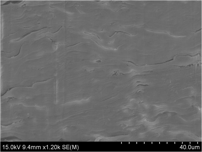 Passive Radiative Cooling in Delignified Wood Material (2 of 3)