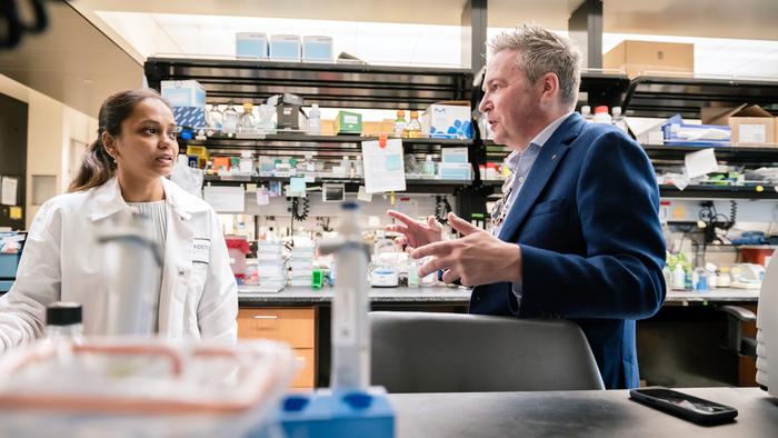 How Haploinsufficiency Causes Serious Developmental Defects