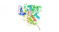 Bacteria Used as Factories to Produce Cancer Drugs