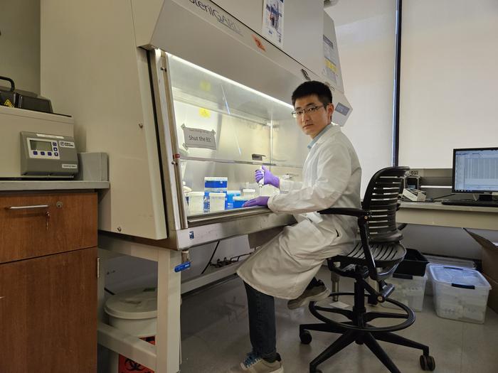 Pitt's Meng Wang, an assistant professor of environmental and civil engineering in the Swanson School of Engineering