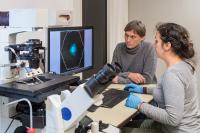 Fluorescence Microscope