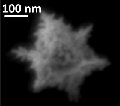 Gold 'Nanostar'