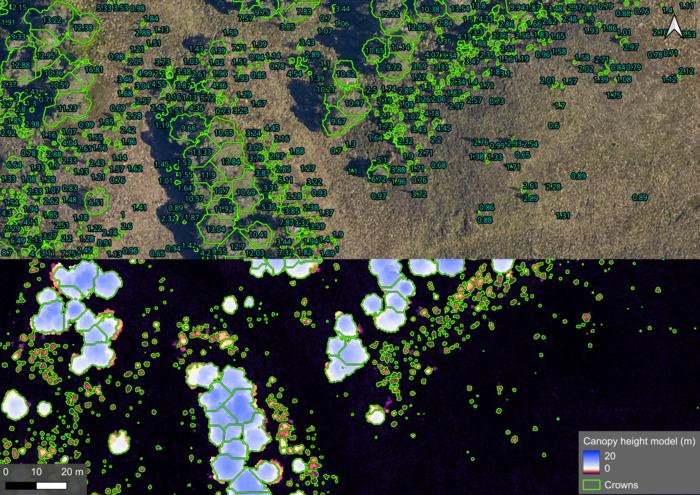 Individual trees on aerial imagery and canopy height model