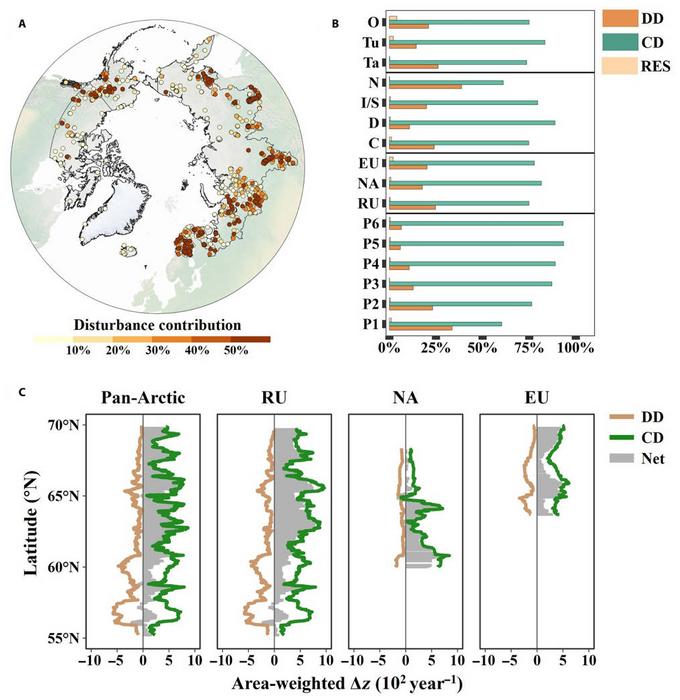 Contributions of disturbance and climate drivers to vegetation greenness dynamics within Arctic human footprint areas (HFAs).