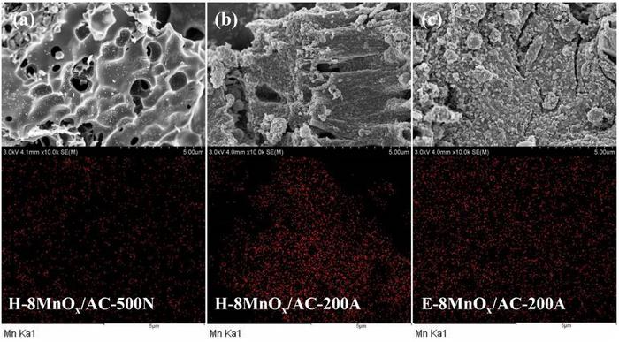 SEM-EDS images of the catalysts