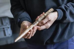 Large projectile point