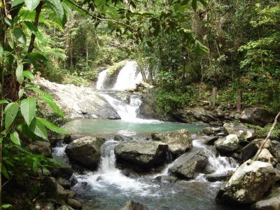 Habitat