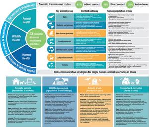 An integrated One Health framework of zoonotic disease transmission pathways, at-risk populations, and risk communication strategies at major human–animal interfaces in China