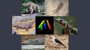 researcher provided image