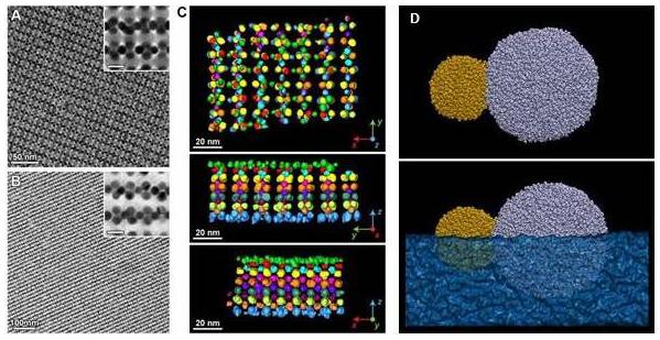 Nanoparticles