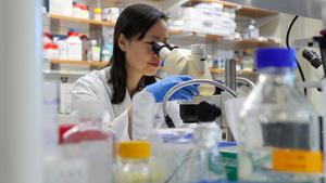 Katy Liu, M.D., Ph.D., looks at samples in the lab at Duke University.