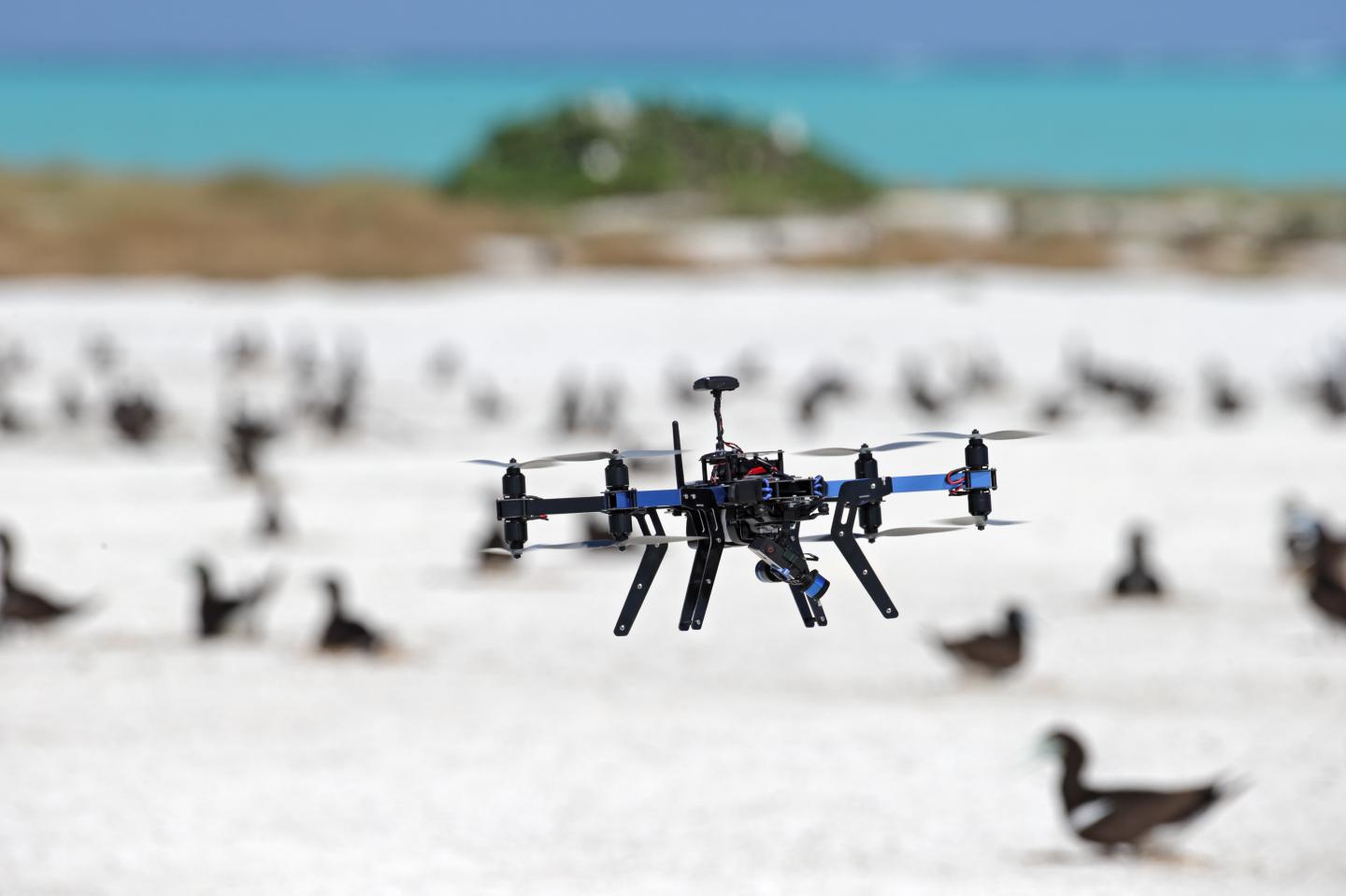 UAV in Flight