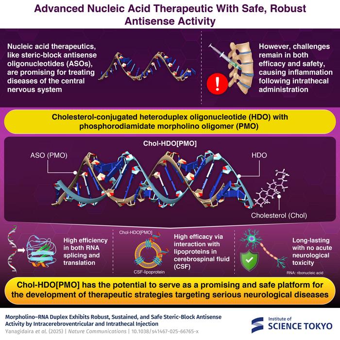 Advanced Nucleic Acid Therapeutic with Safe, Robust, Antisense Activity  Proposed cholesterol-conjugated PMO/RNA heteroduplex oligonucleotide platform