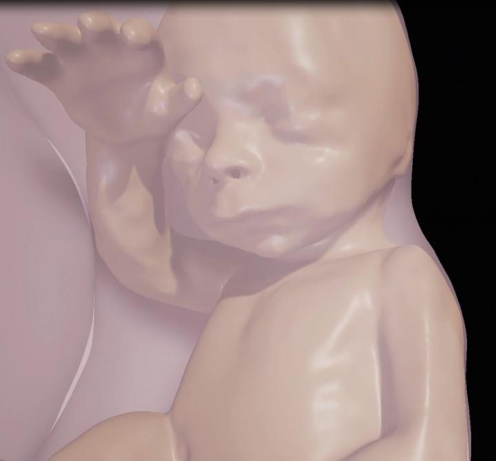 26 Weeks Close-Up