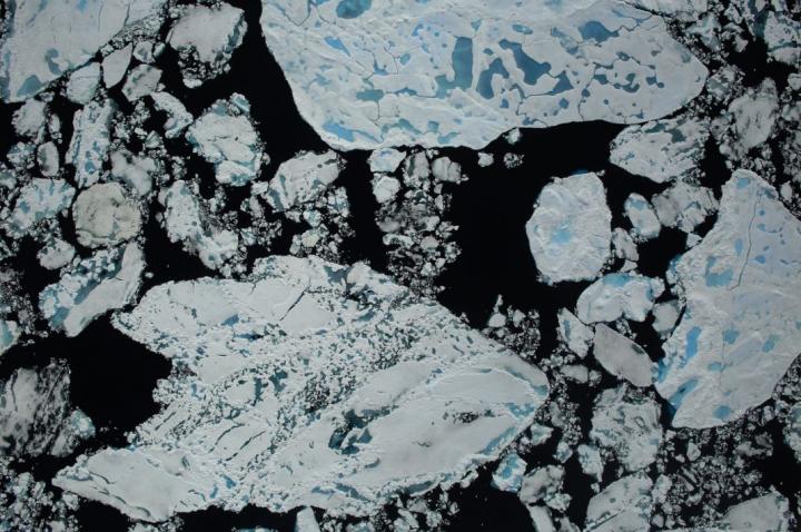 Sea Ice