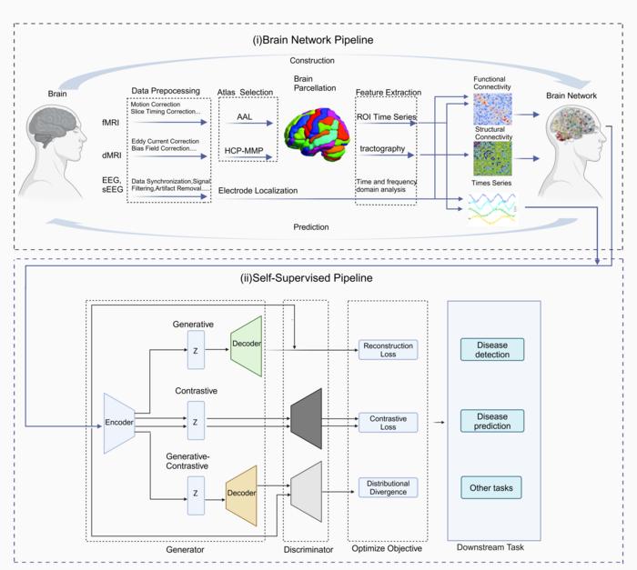 Overview of the typical SSL pipeline for neuroimaging data analysis