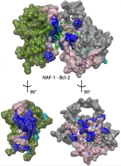 Proteins (1 of 2)