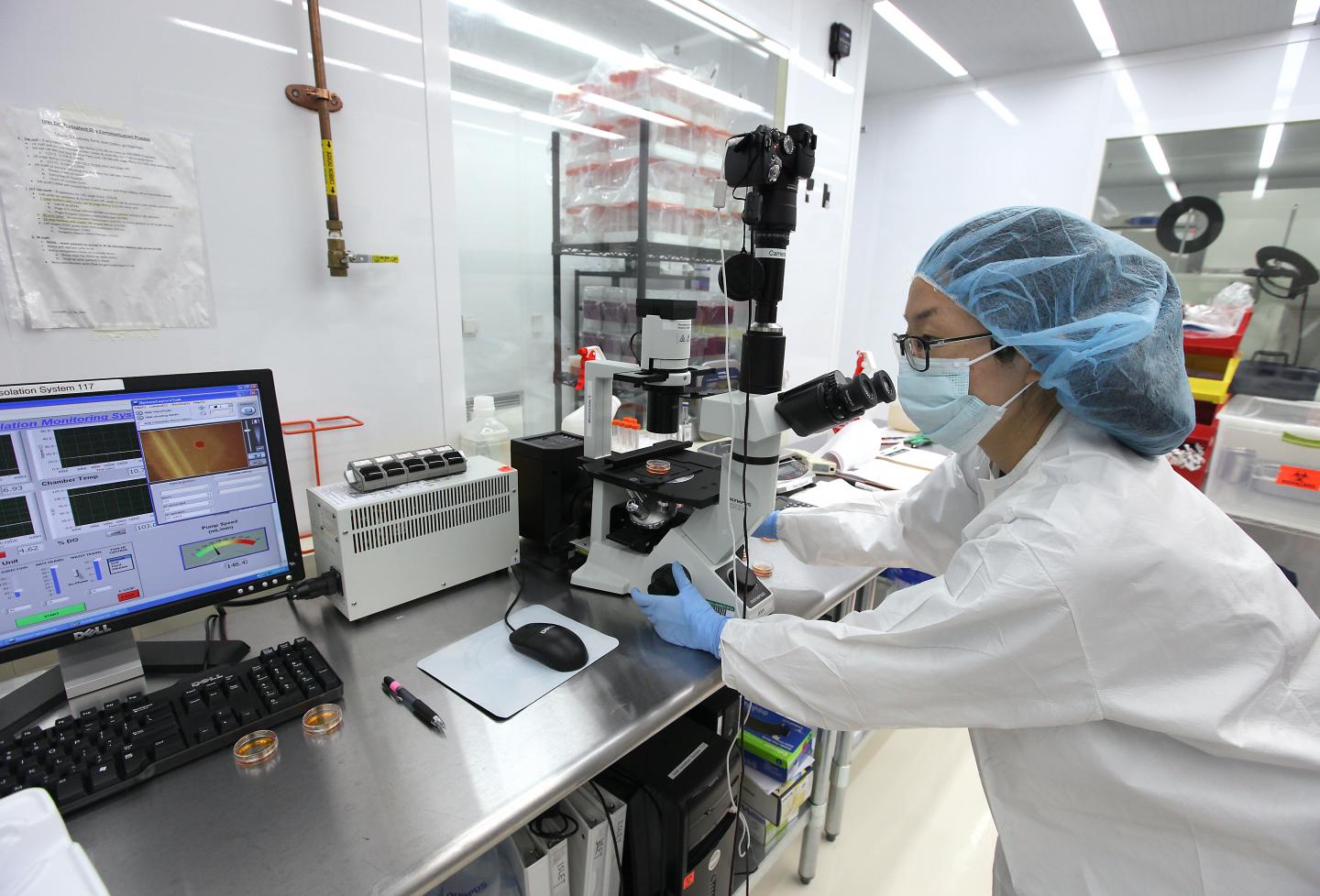 Islet Cell Lab