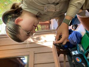 A Baby Bird’s Wishlist: Mild Weather, Attentive Parents, Not Being the Smallest Sibling