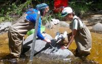 LoVoTECS Coordinator and Volunteer Scientists Mount/Calibrate Aquatic Sensors in New Hampshire