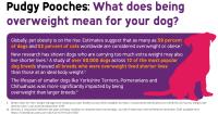 Infographic 2