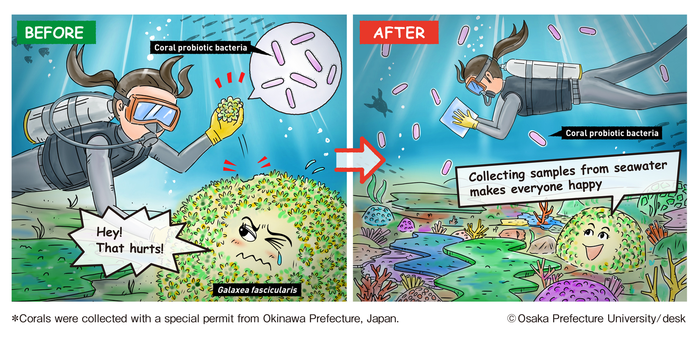 Collecting coral probiotics from seawater instead of coral