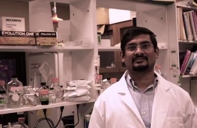 Santosh R. D'Mello, University of Texas at Dallas