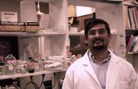 Santosh R. D'Mello, University of Texas at Dallas