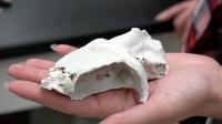 3-D Printout