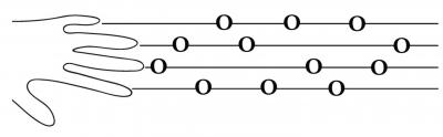 Experimental Diagram