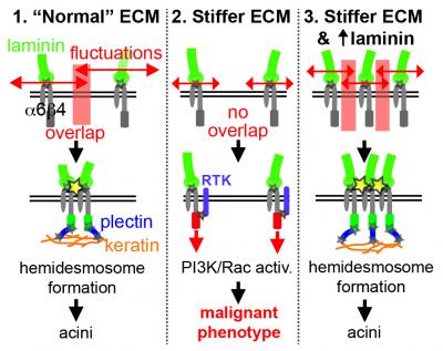 Proposed Signaling Mechanism