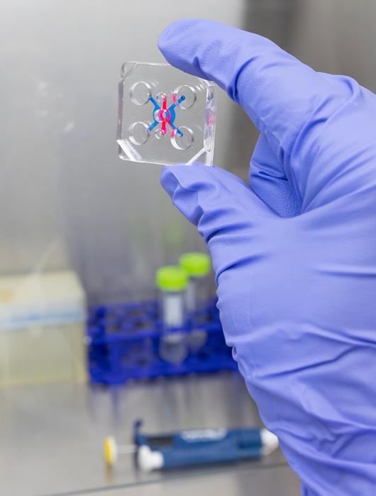 organ-on-a-chip technology