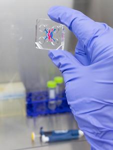 organ-on-a-chip technology