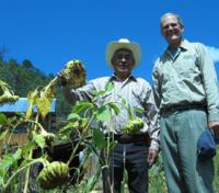 Lentz and Farmer