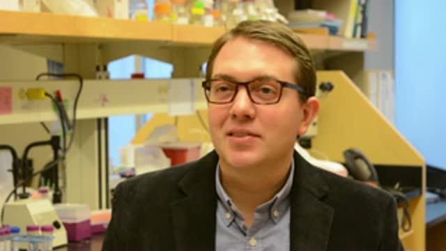 Self-Propelled Powder Stops Severe Bleeding