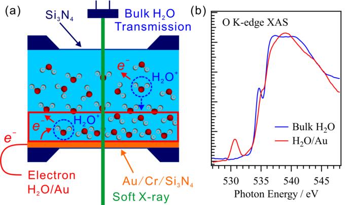 Figure 1: (a) Schematic illustration of our method for obtaining simultaneous XAS measurements of an H2O/Au interface (using the electron-yield method) and of bulk H2O (using the transmission method). (b) The O K-edge XAS spectra of bulk H2O and the H2O/A