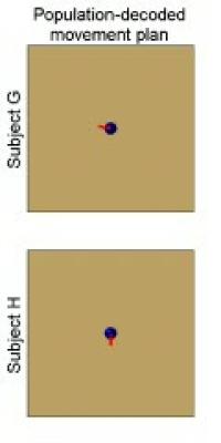 Reading the Minds of Monkeys Doing the Obstacle-Avoidance Task